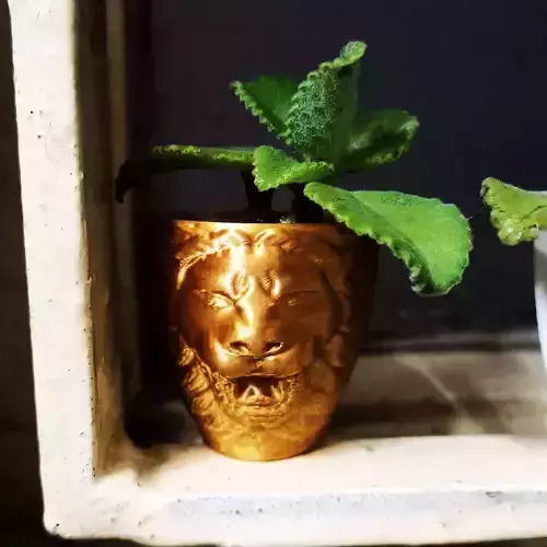 Lion Pendant and Badge Plant Pot