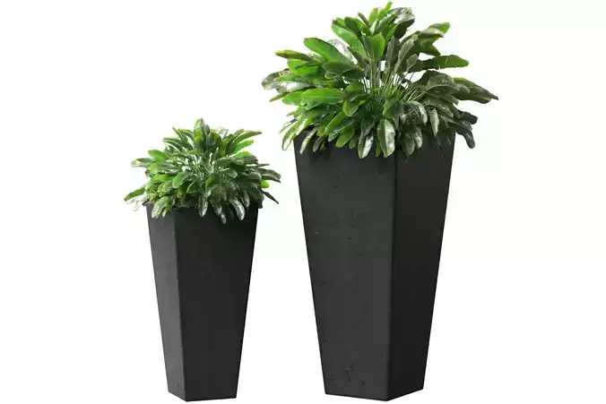 Decorative Plant Spathiphyllum in a modern pot RH ArtDeco
