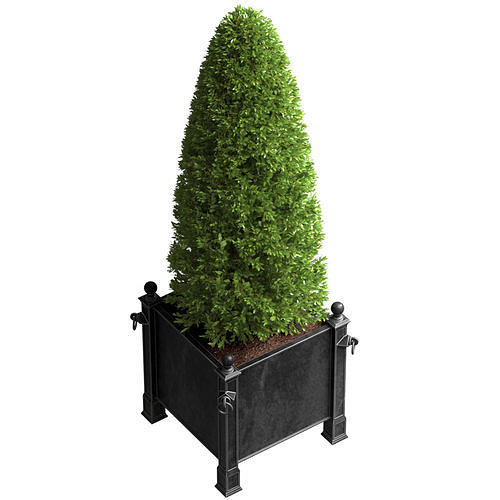 Decorative tree in garden planter RH ArtDeco Front Patio  3D model 2