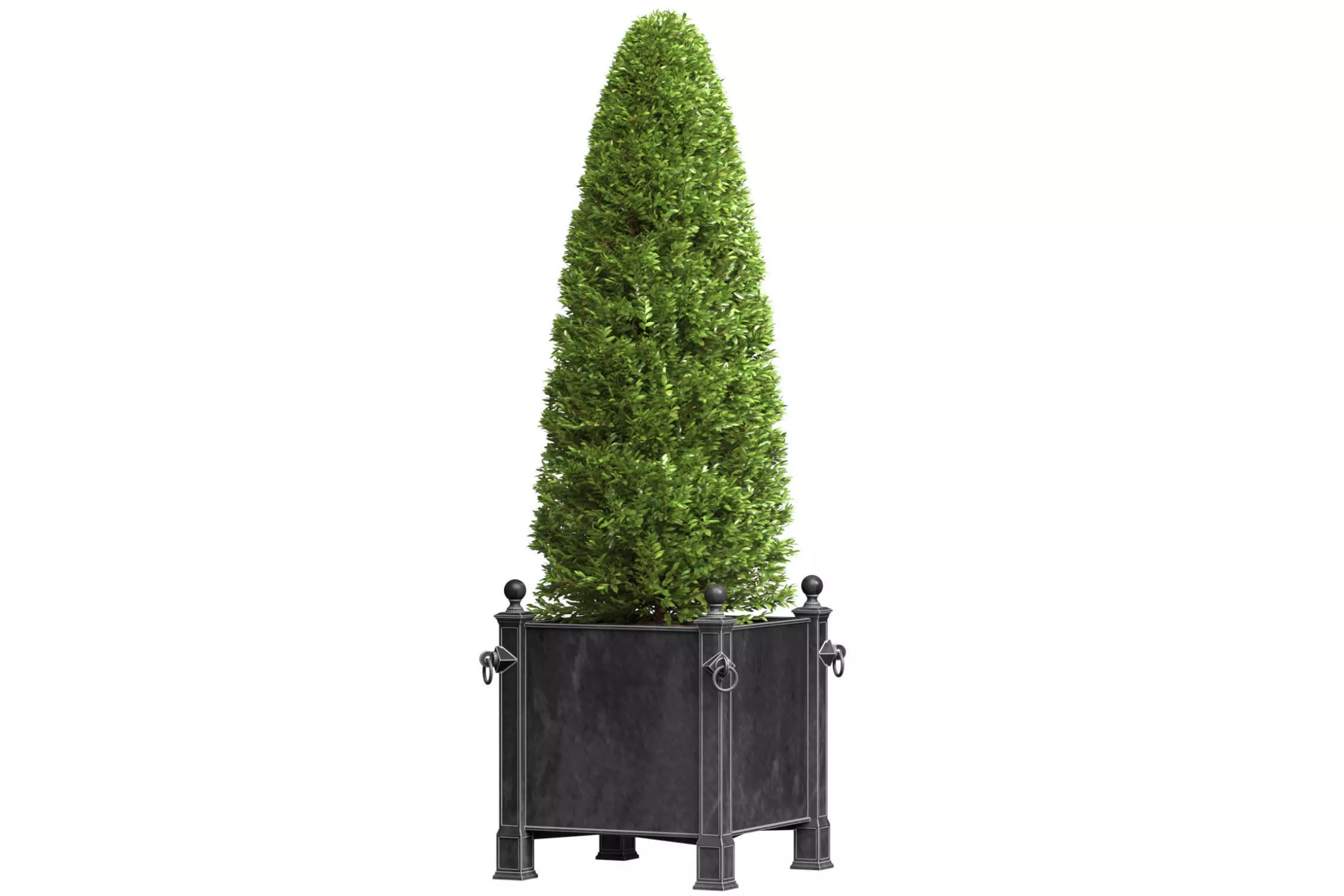 Decorative tree in garden planter RH ArtDeco Front Patio  3D model_0