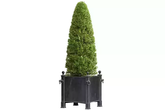 Decorative tree in garden planter RH ArtDeco Front Patio  3D model