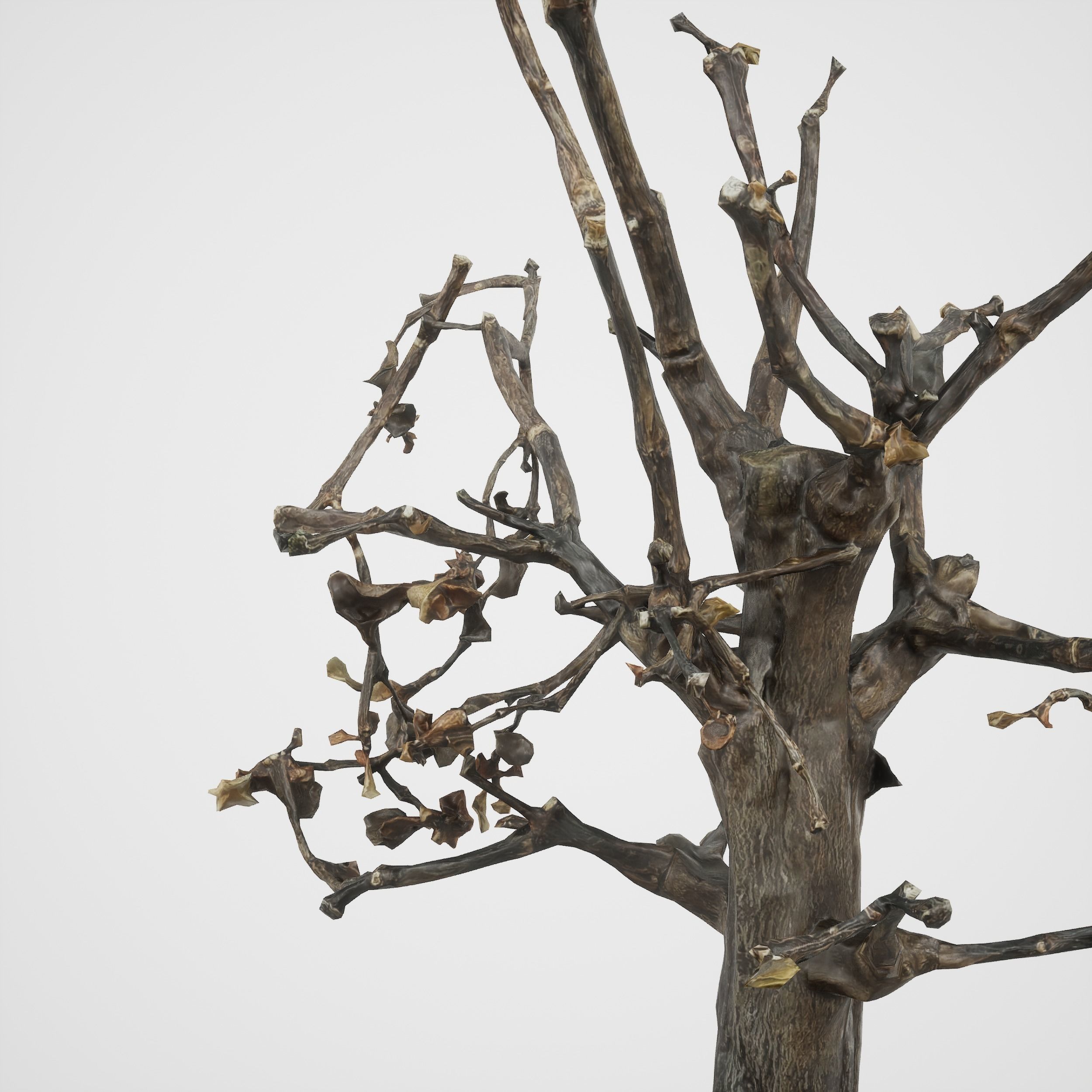 Game-ready Small Tree Plant Low-poly 3D model_3