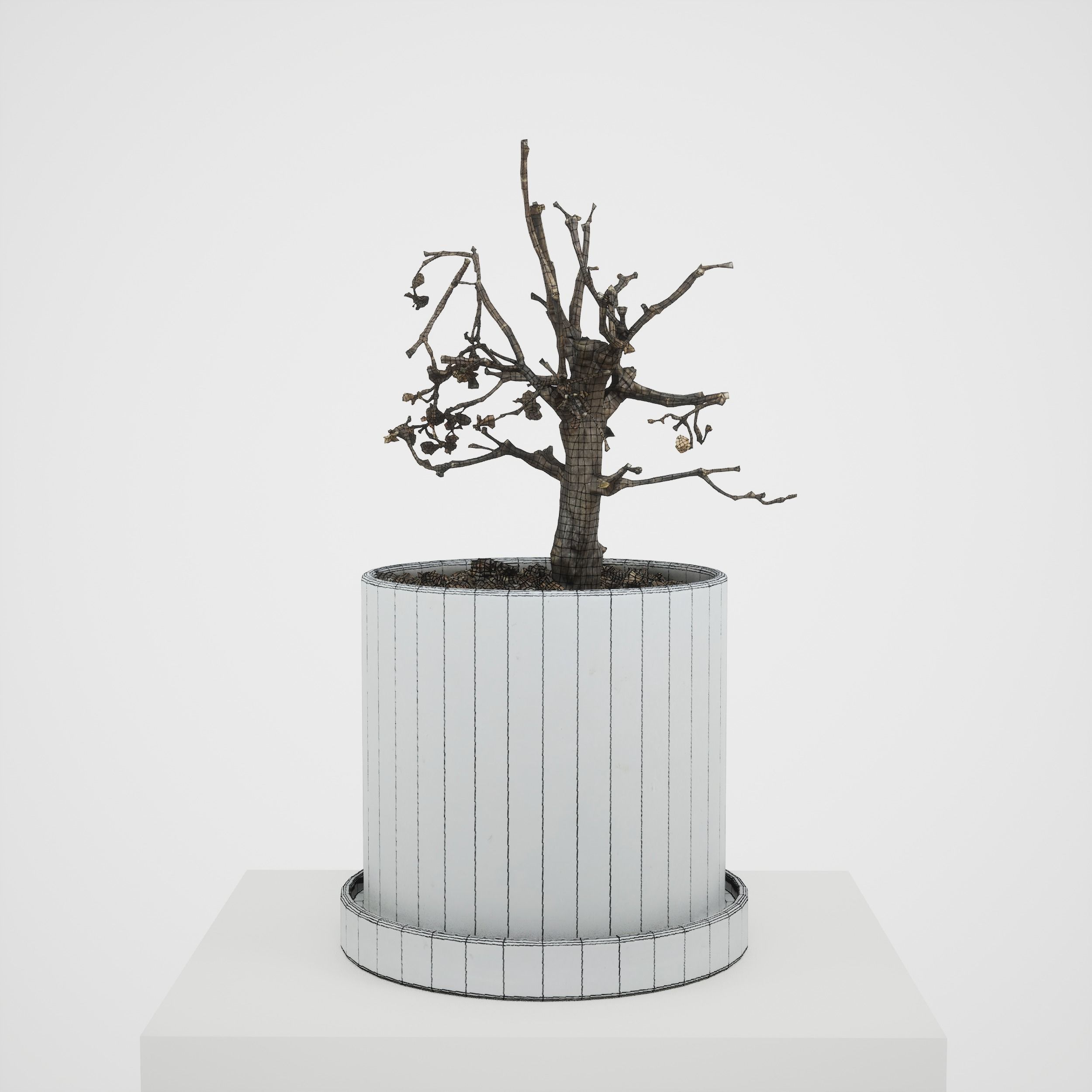 Game-ready Small Tree Plant Low-poly 3D model_4
