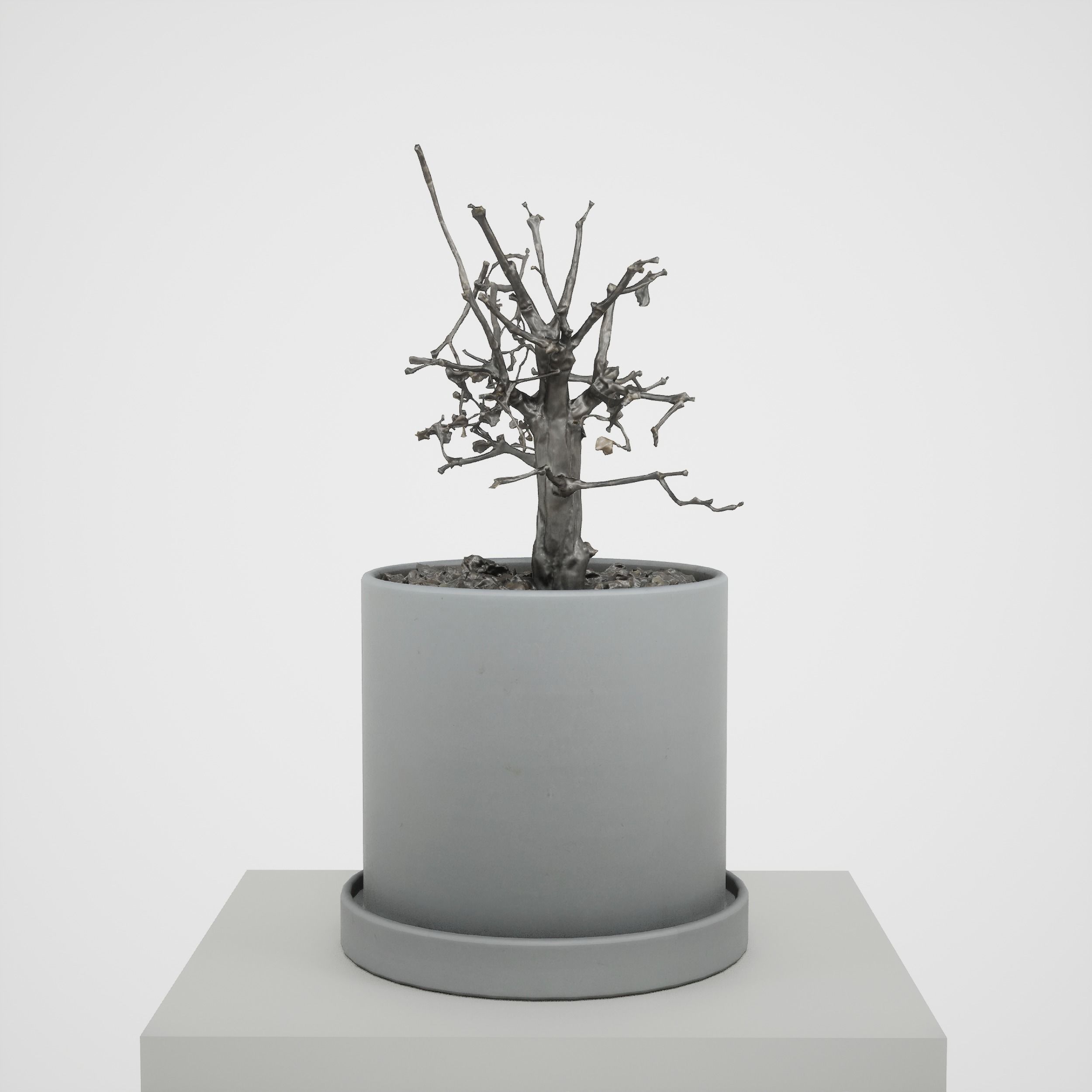 Game-ready Small Tree Plant Low-poly 3D model_6