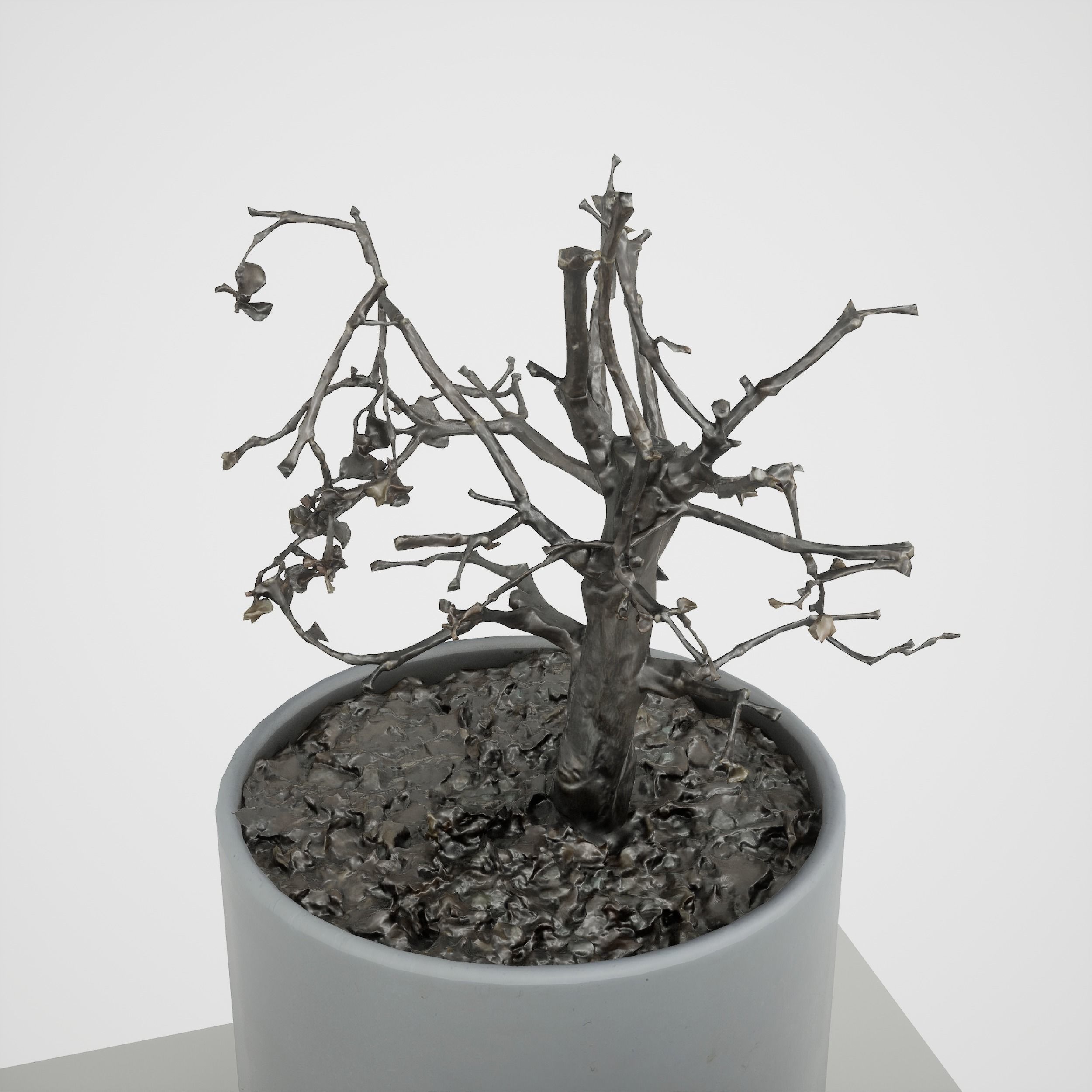 Game-ready Small Tree Plant Low-poly 3D model_7