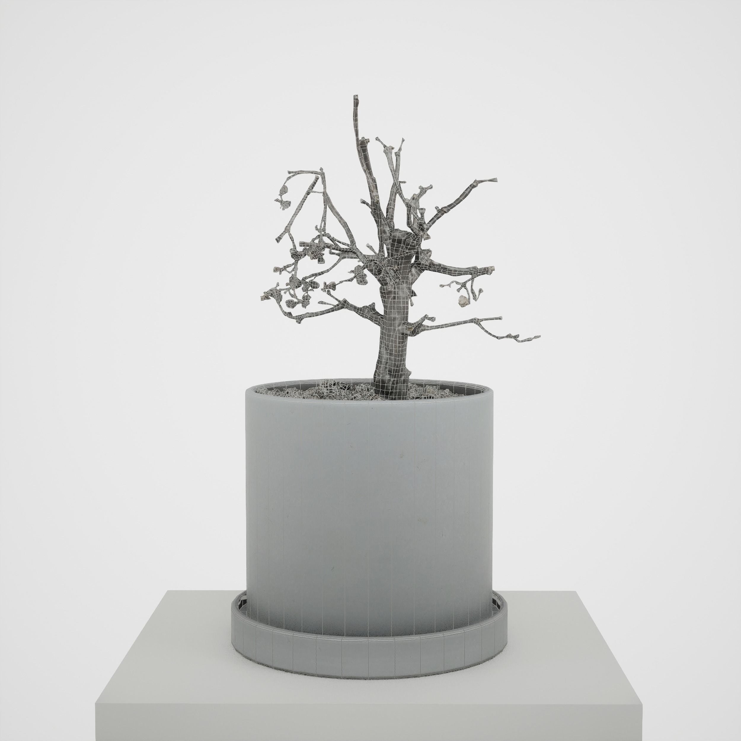 Game-ready Small Tree Plant Low-poly 3D model_8