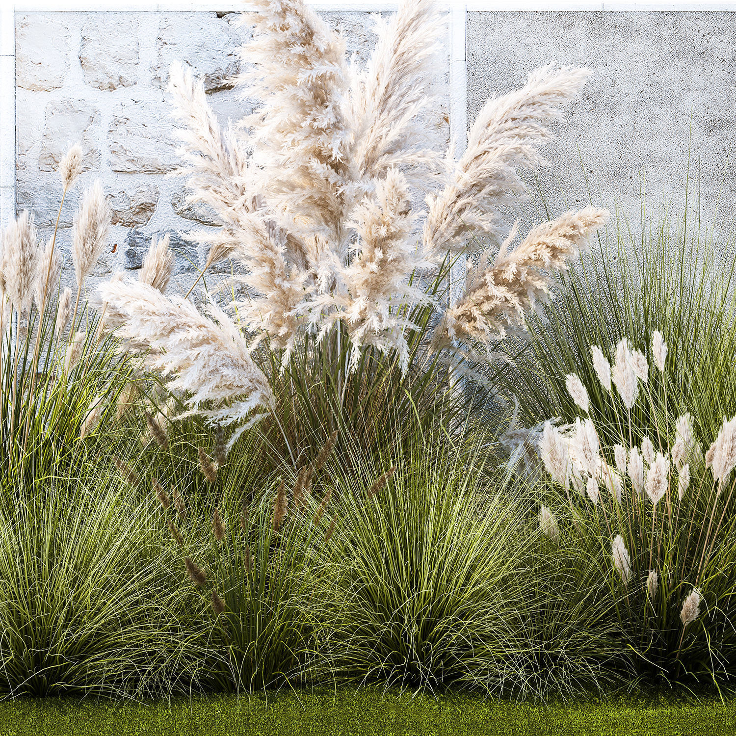 Garden feather grass grass white Pampas reed grass 1403 3D model_12