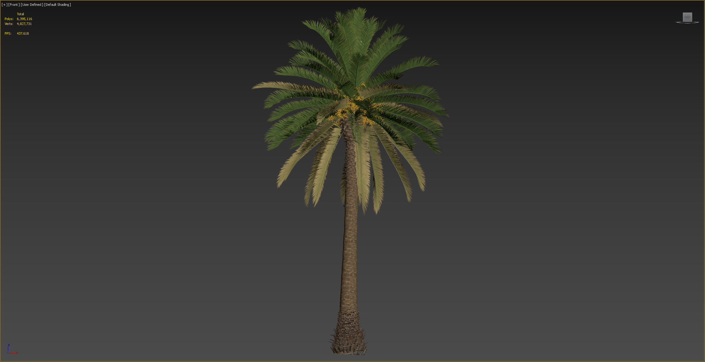 PALM TREE 4 - POHON PALEM Phoenix Canariensis VRAY CORONA 3DMAX  3D model_3