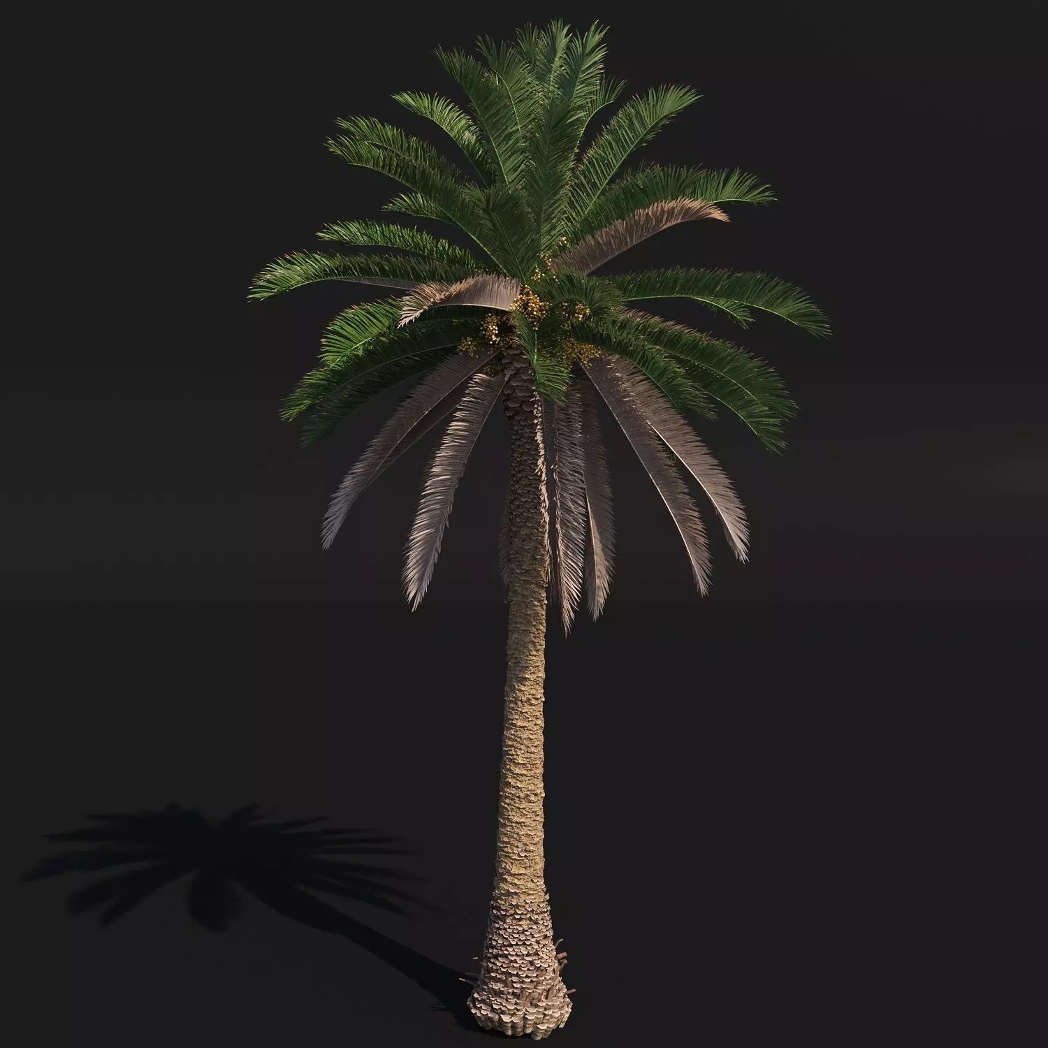 PALM TREE 4 - POHON PALEM Phoenix Canariensis VRAY CORONA 3DMAX  3D model_0