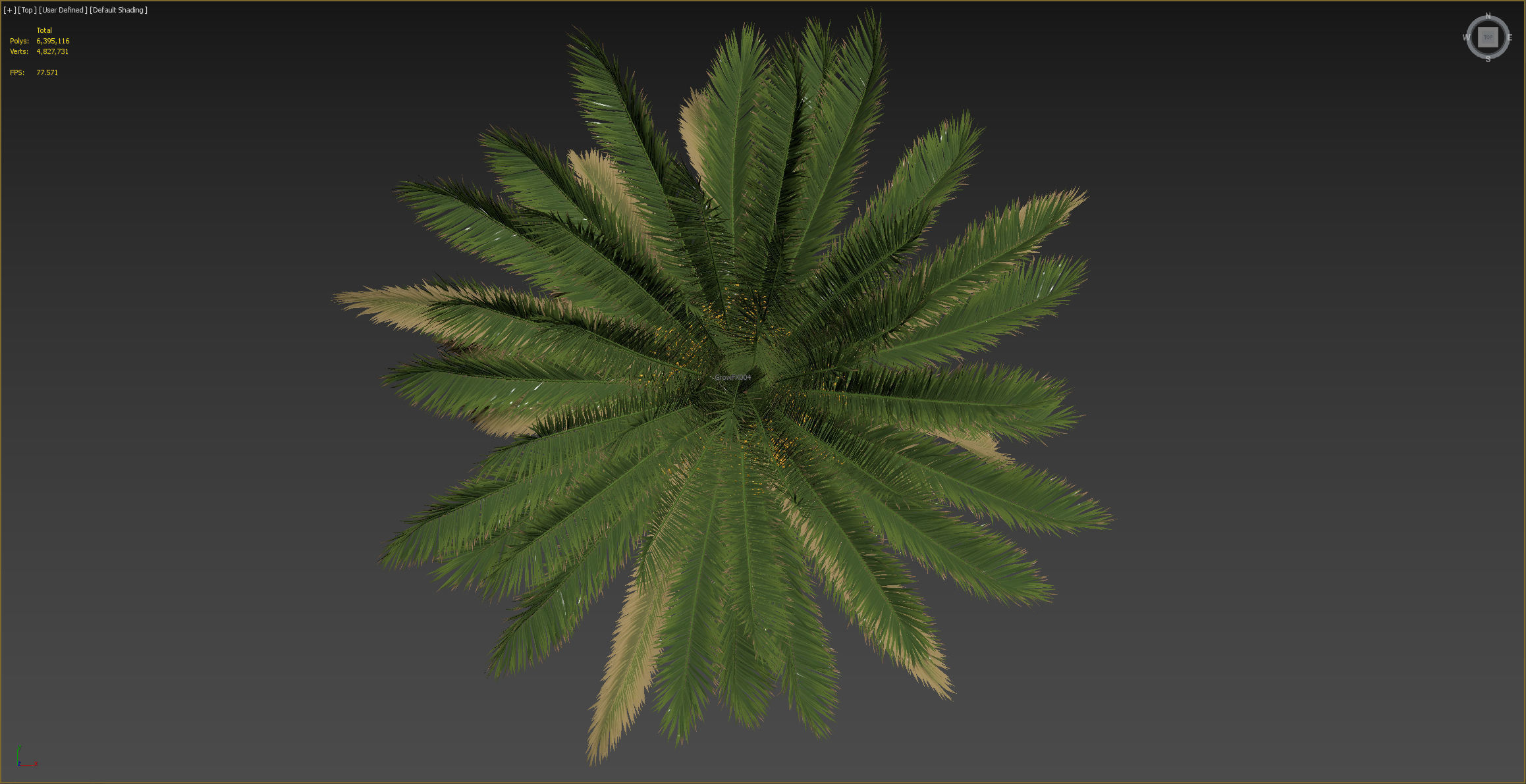 PALM TREE 4 - POHON PALEM Phoenix Canariensis VRAY CORONA 3DMAX  3D model_4