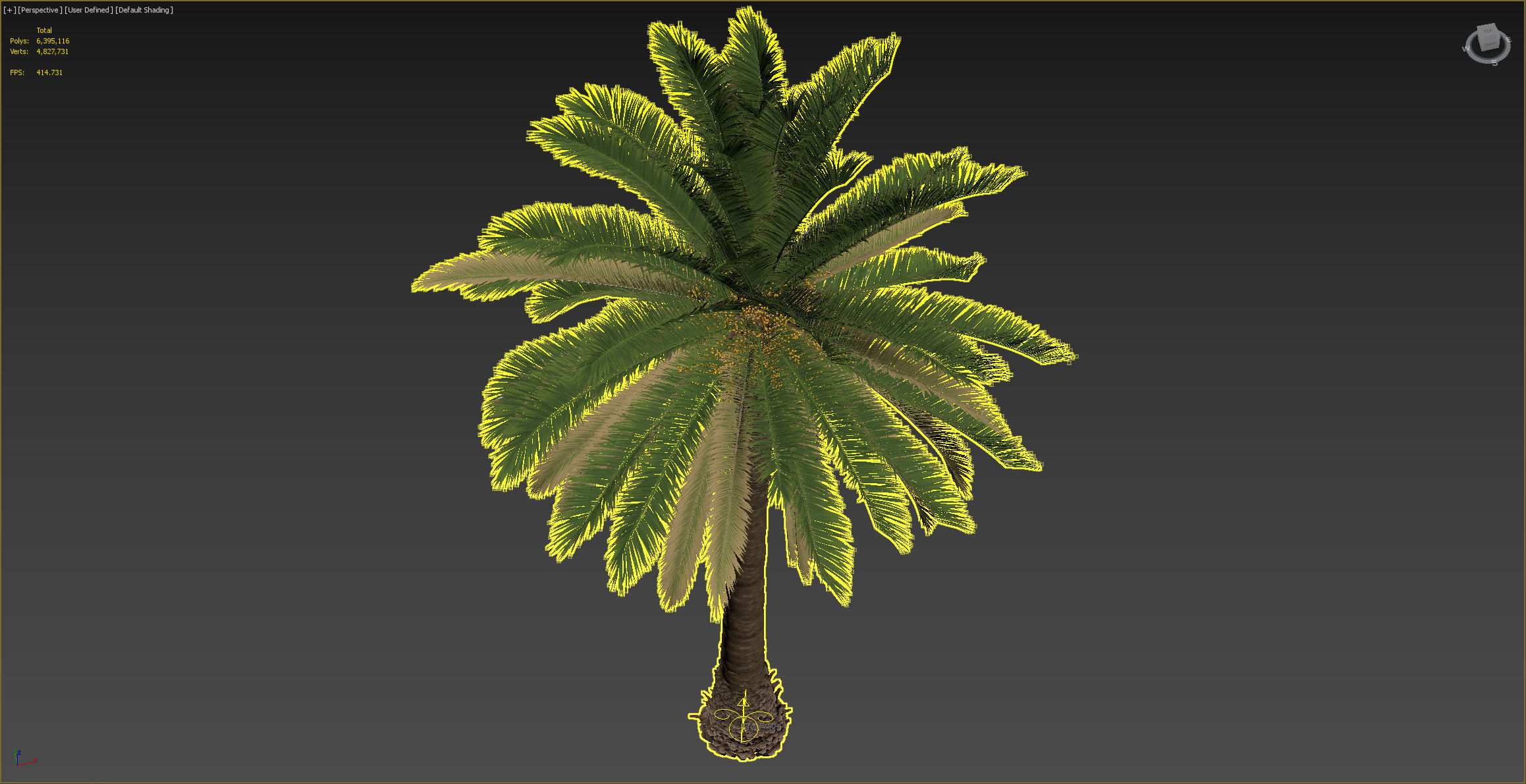 PALM TREE 4 - POHON PALEM Phoenix Canariensis VRAY CORONA 3DMAX  3D model_5