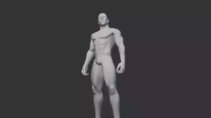 Male Human Model