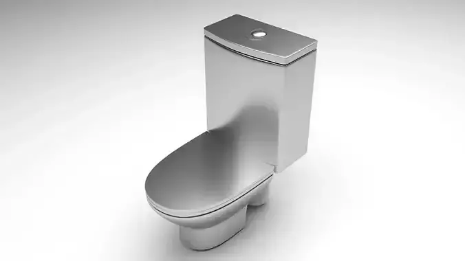 Silver Toilet