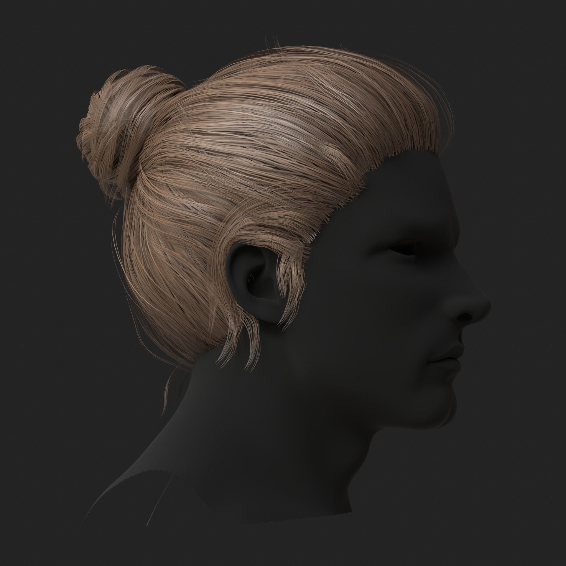 Realistic hairs Low-poly 3D model_3