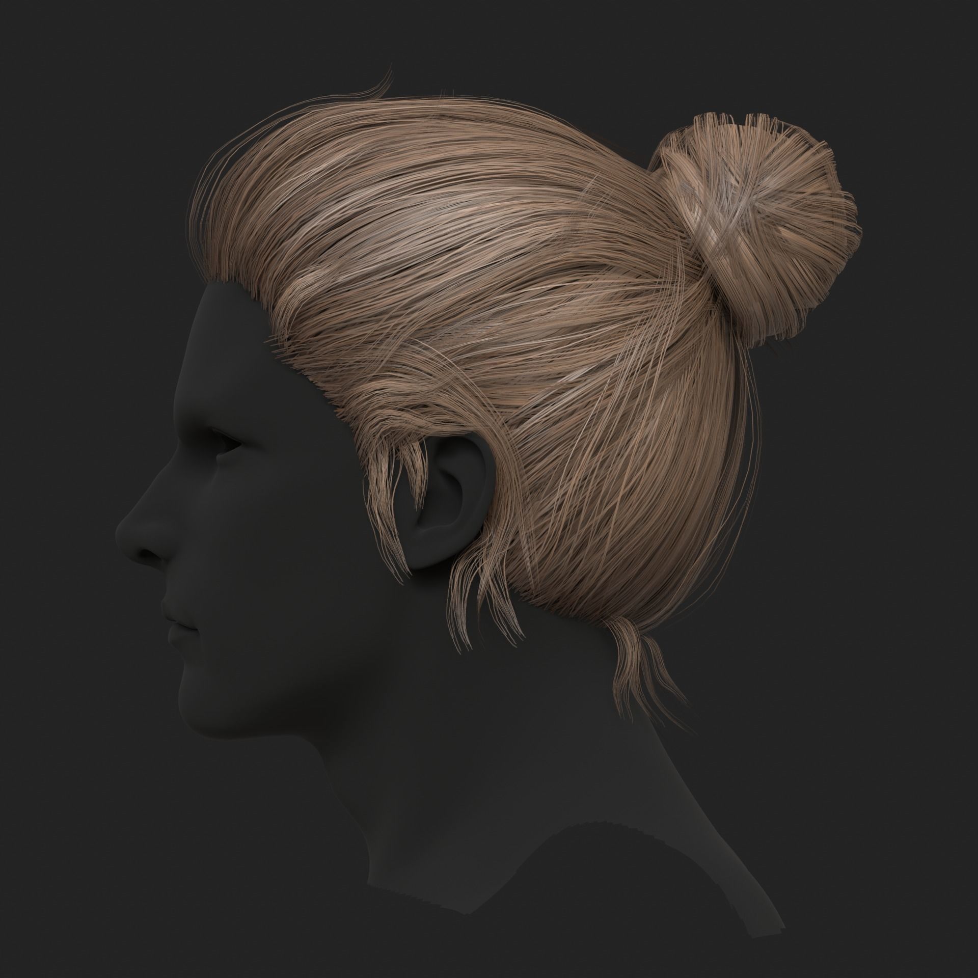 Realistic hairs Low-poly 3D model_1