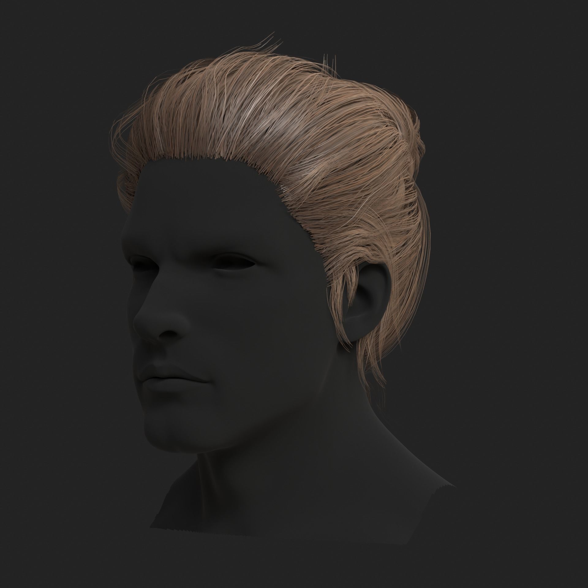 Realistic hairs Low-poly 3D model_2