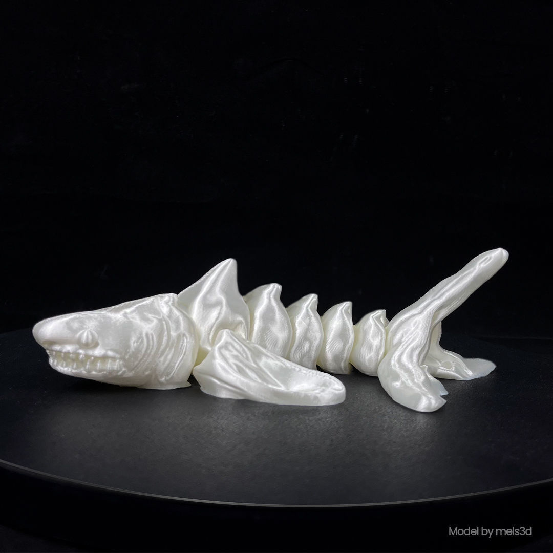 RATTLESHARK 3D print model_2