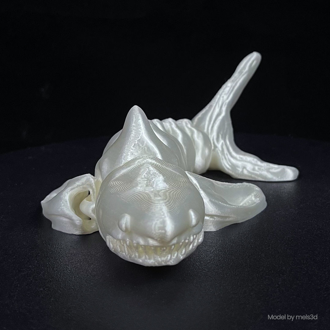RATTLESHARK 3D print model_1