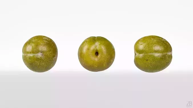 Plum  3D model 5