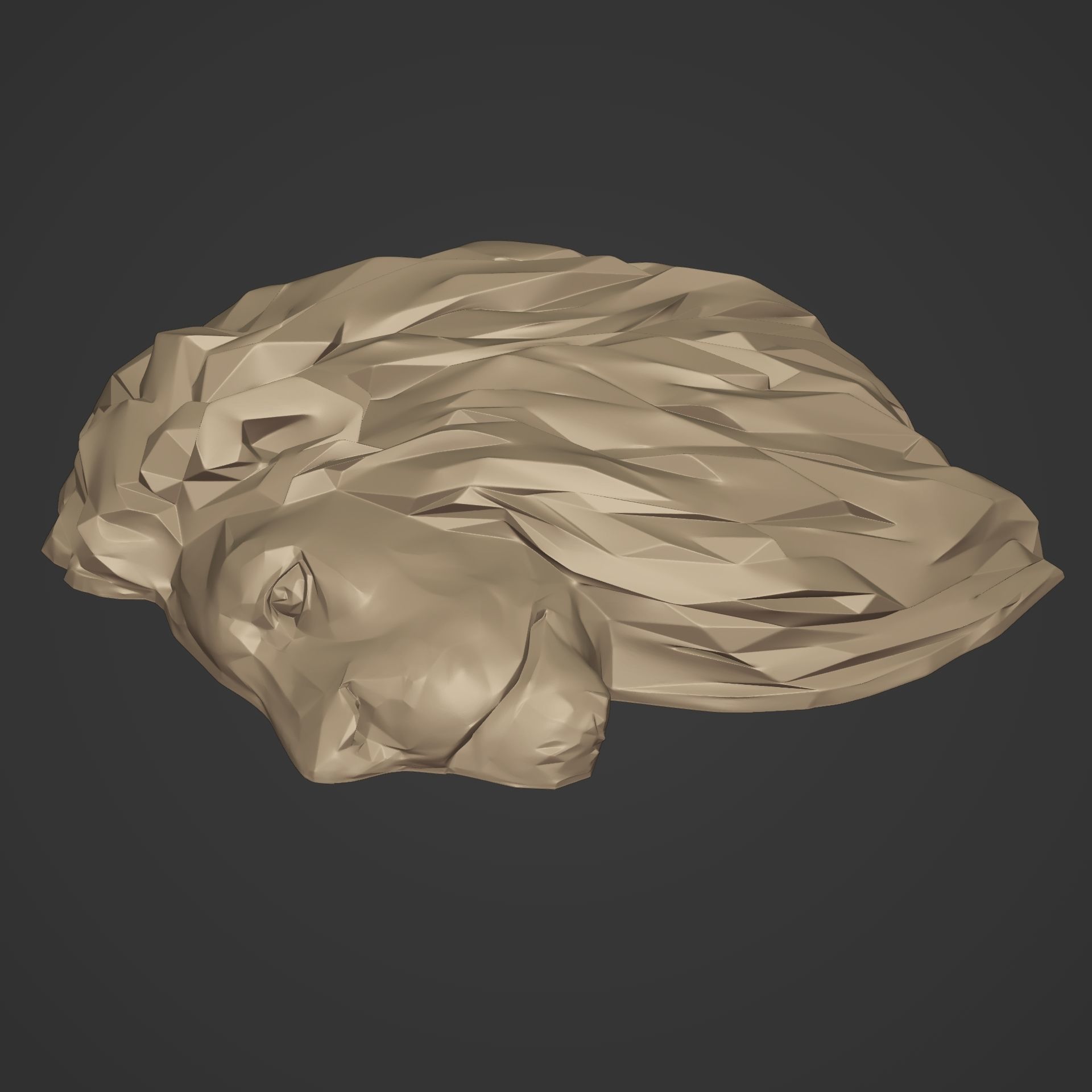 Lion Head Necklace 3D print model_5