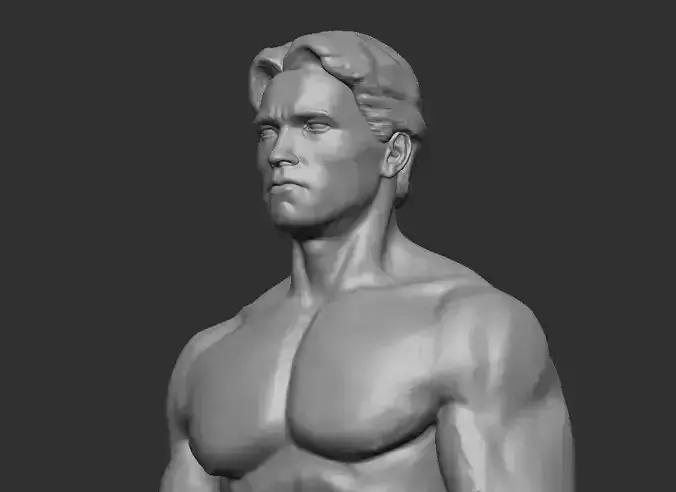 Arnold Schwarzenegger 3D print model