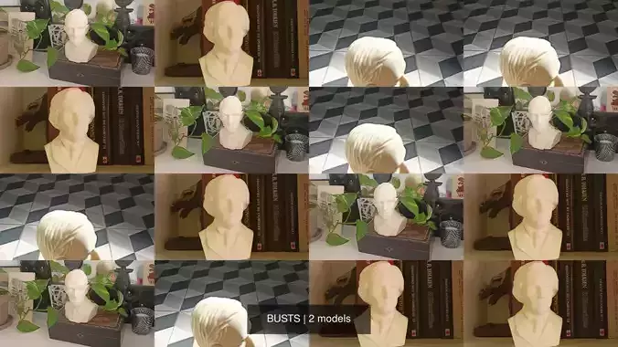 BUSTS 3D Model Collection