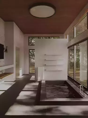 Hotel bathroom with little pool