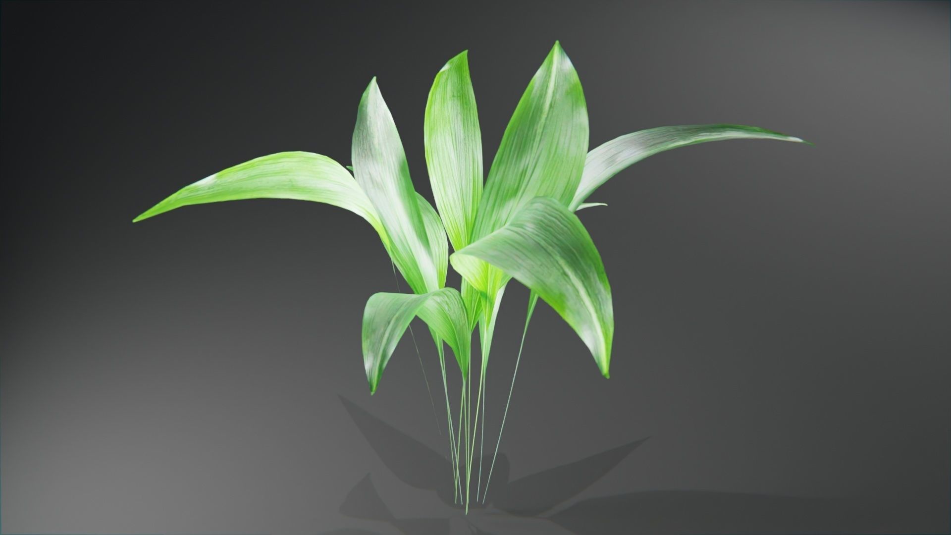  Tropical plants collection Low-poly 3D model_2