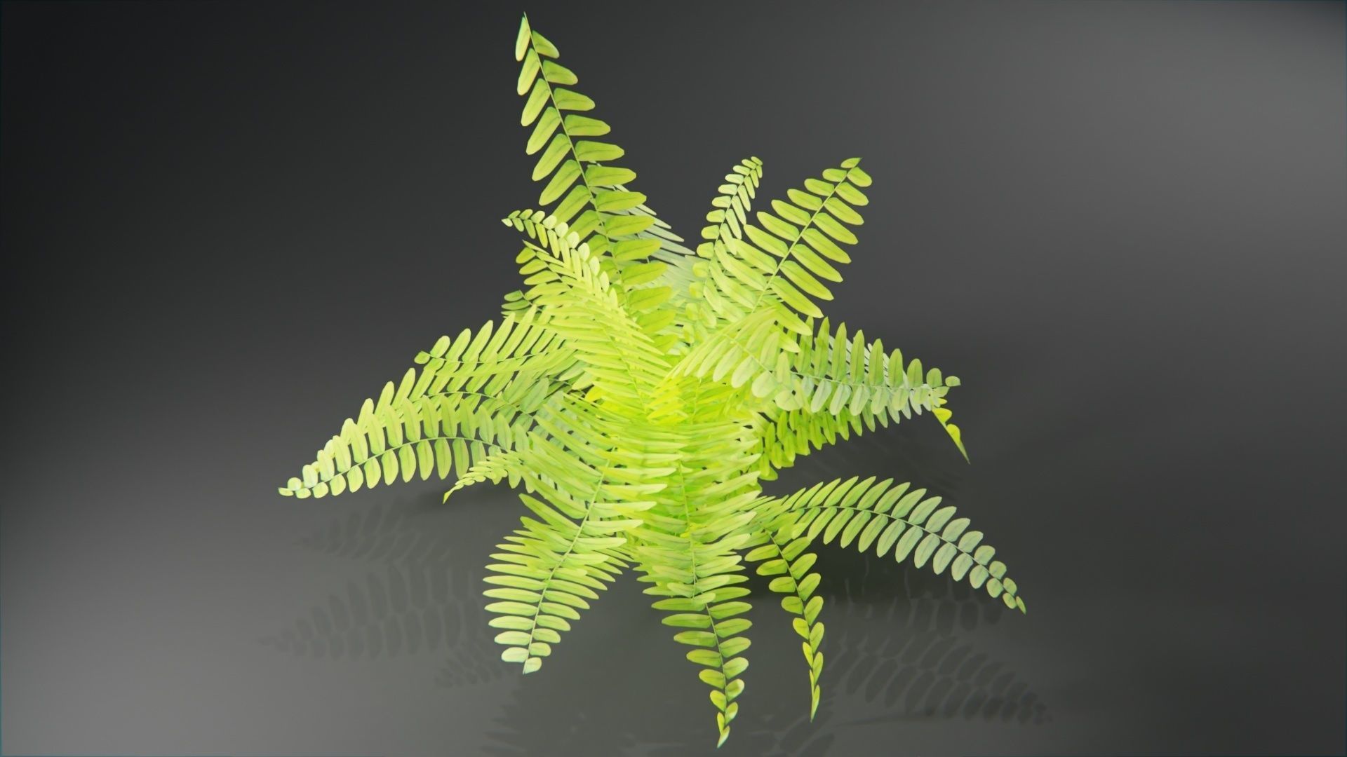  Tropical plants collection Low-poly 3D model_6