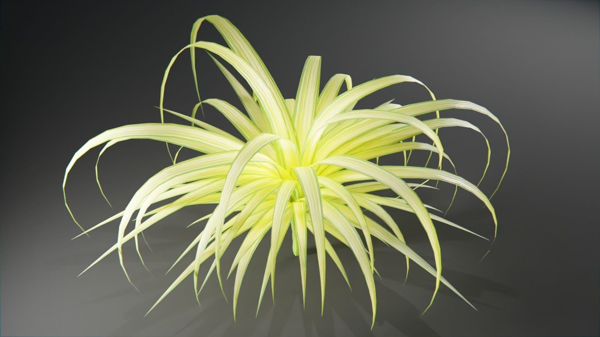  Tropical plants collection Low-poly 3D model_7