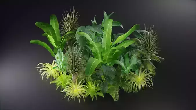  Tropical plants collection