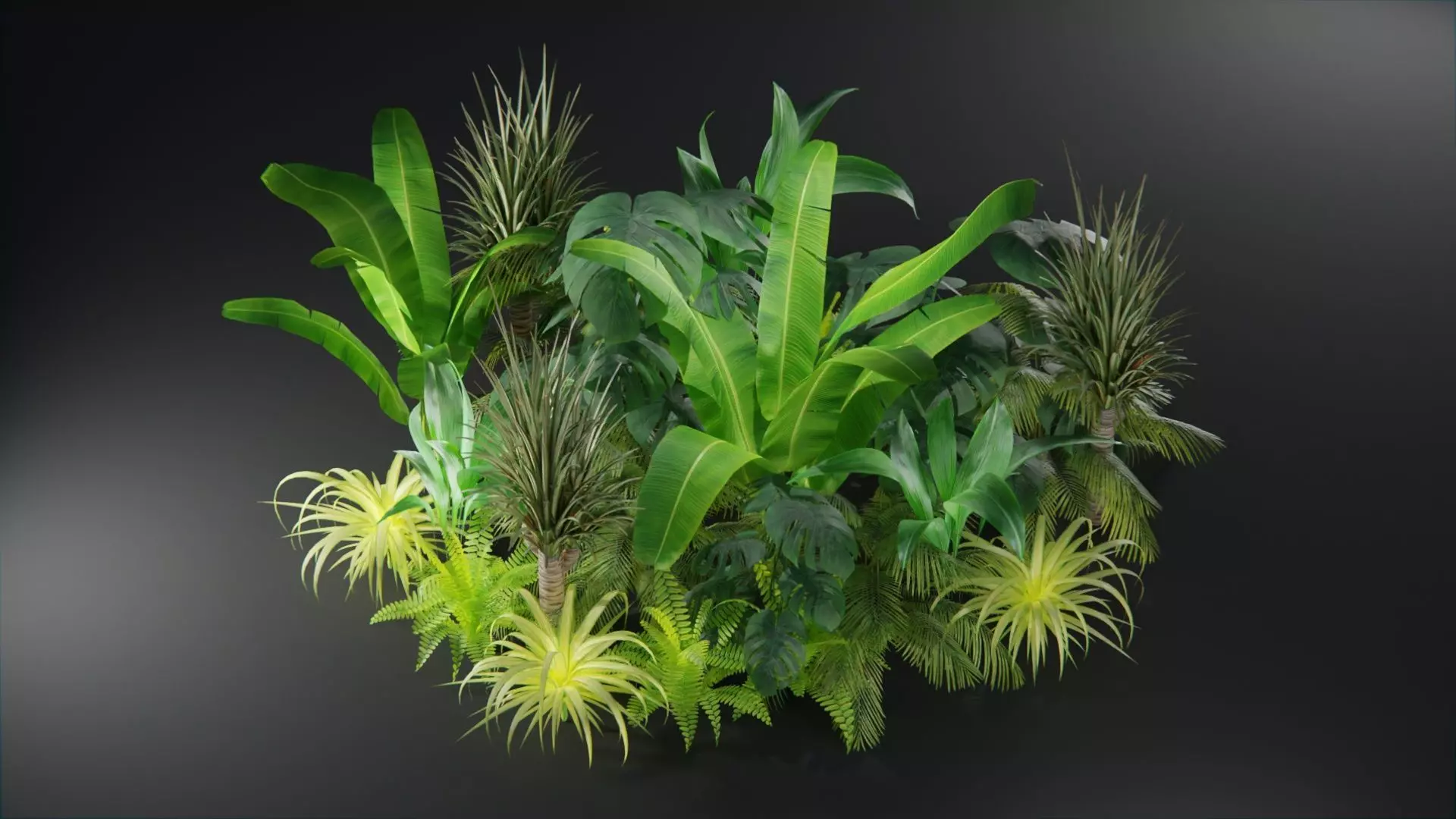  Tropical plants collection Low-poly 3D model_0