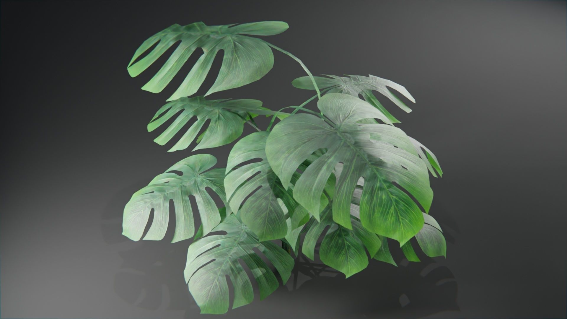  Tropical plants collection Low-poly 3D model_4