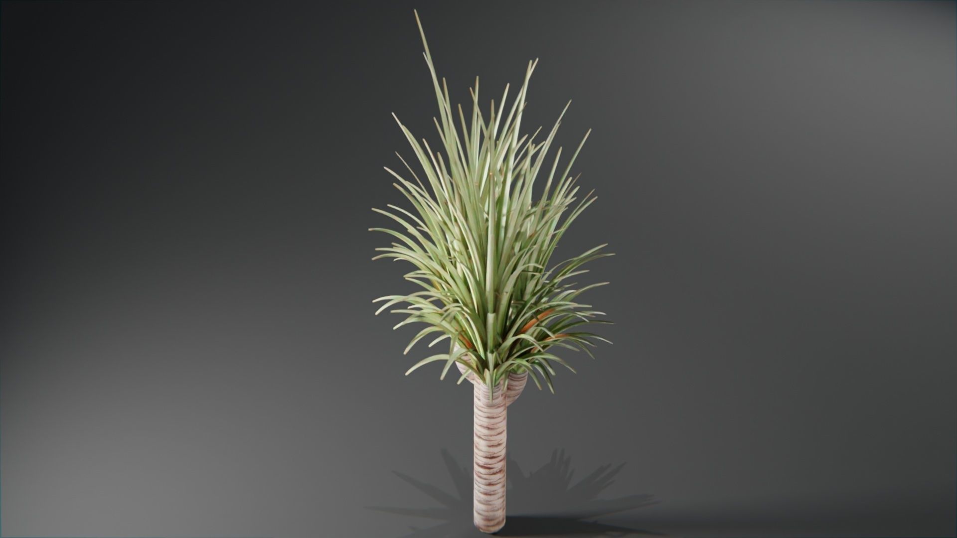  Tropical plants collection Low-poly 3D model_1