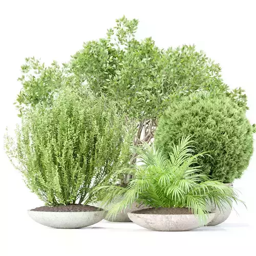 Outdoor Plants collection vol 236
