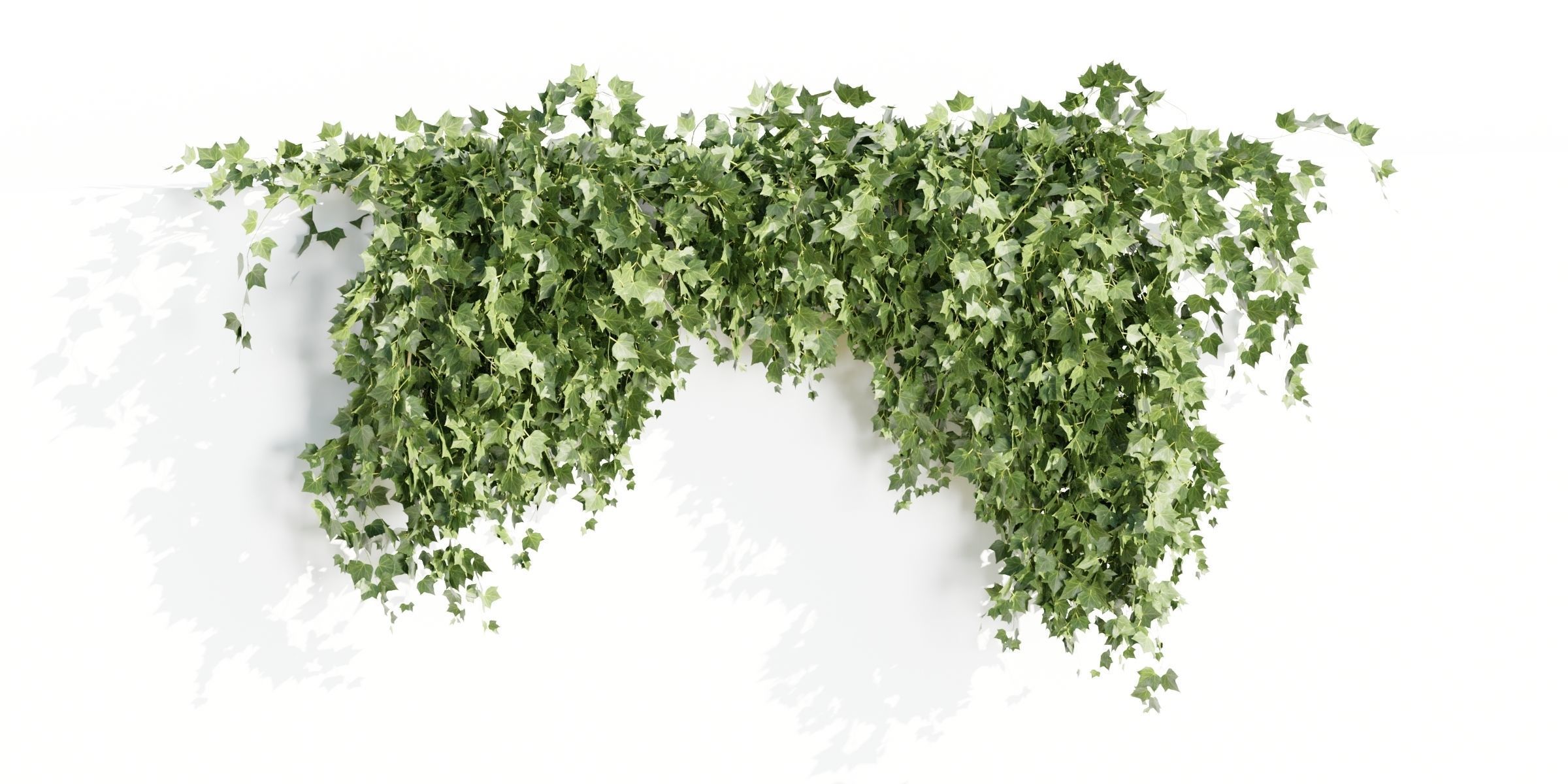 Hanging wall creeper plants collection-Blender-001 _8