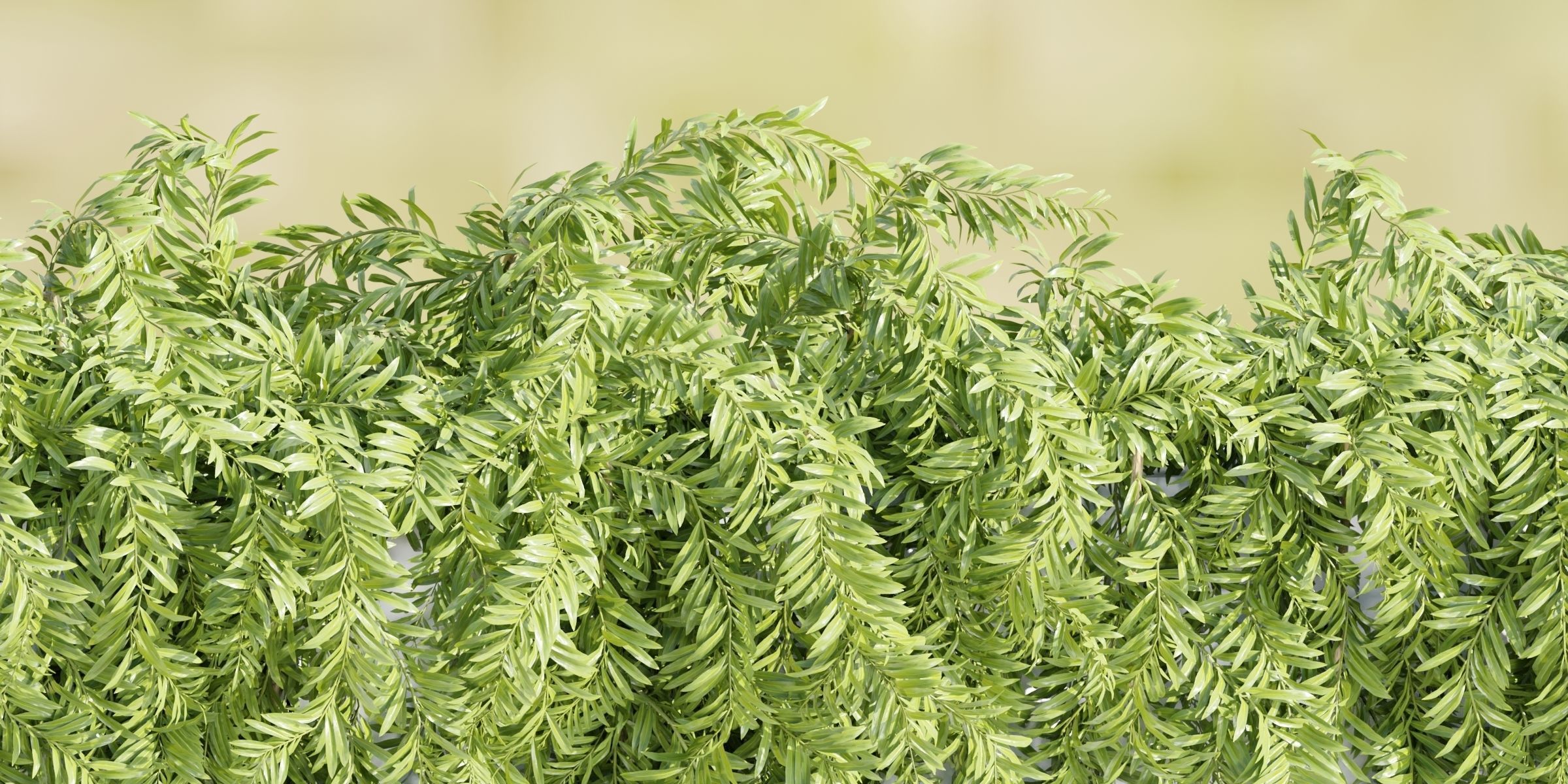 Hanging wall creeper plants collection-Blender-001 _10