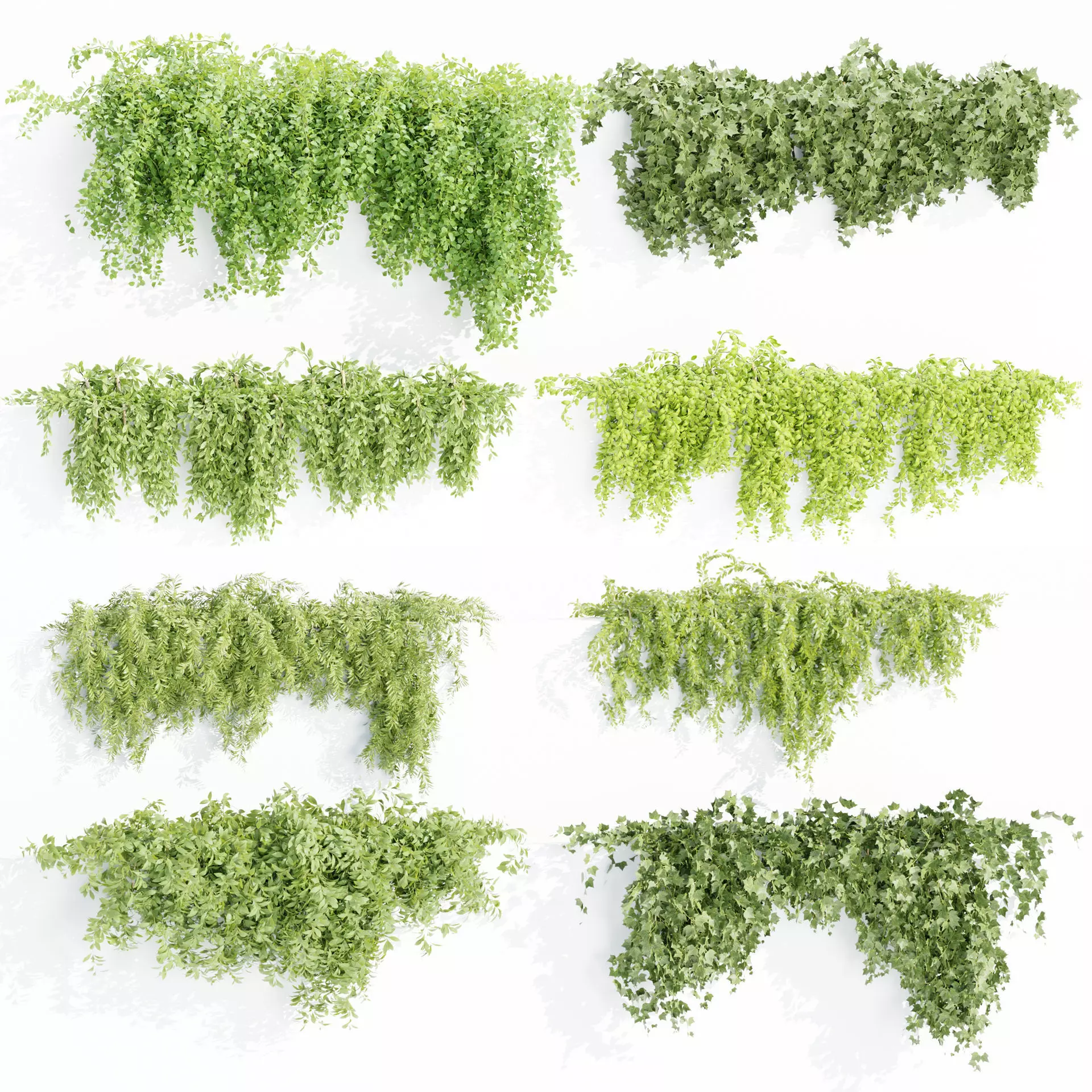 Hanging wall creeper plants collection-Blender-001 _0