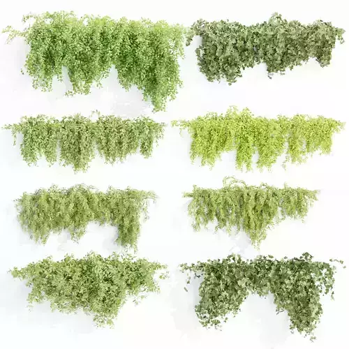 Hanging wall creeper plants collection-Blender-001 