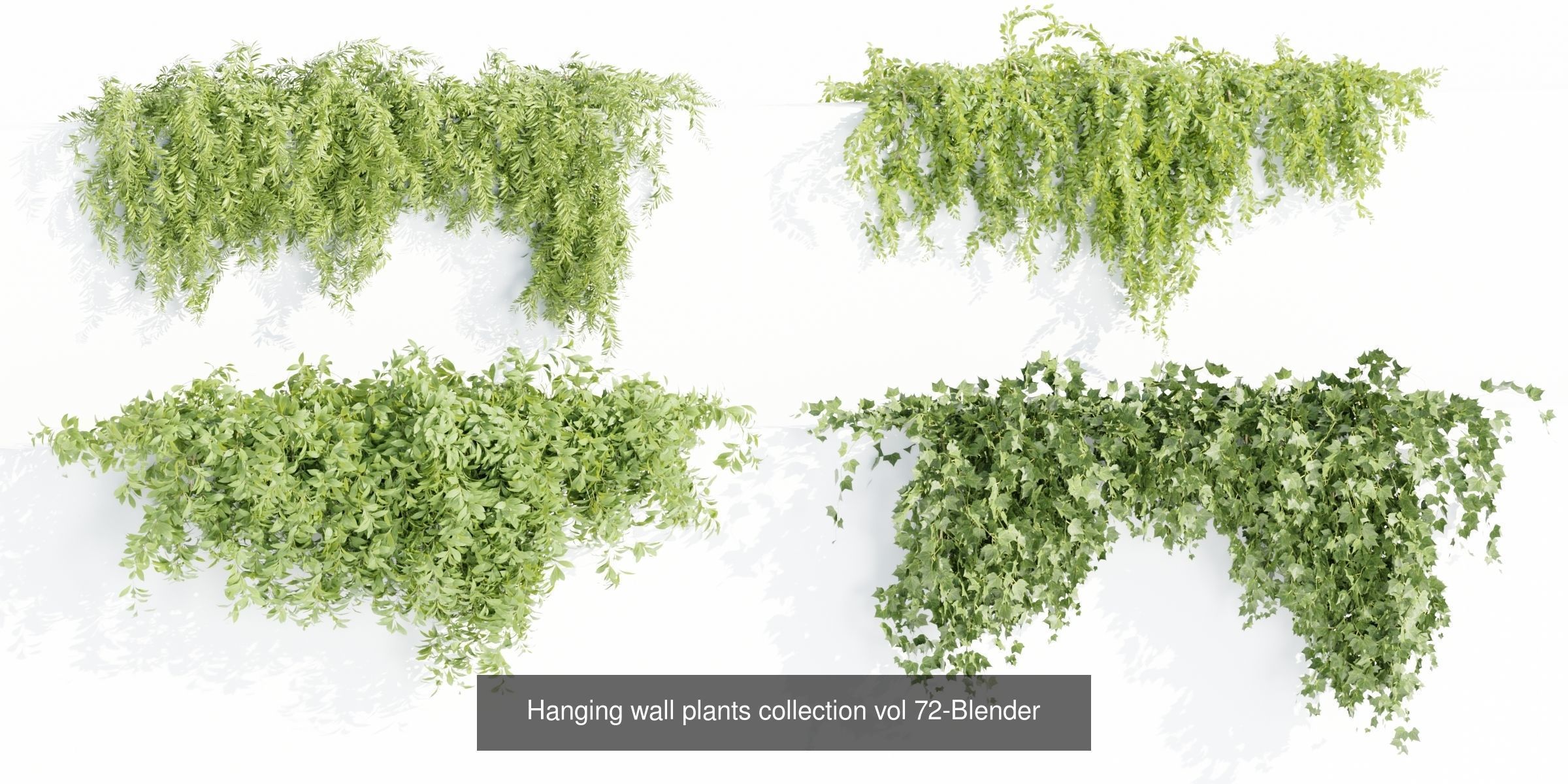 Hanging wall creeper plants collection-Blender-001 _2