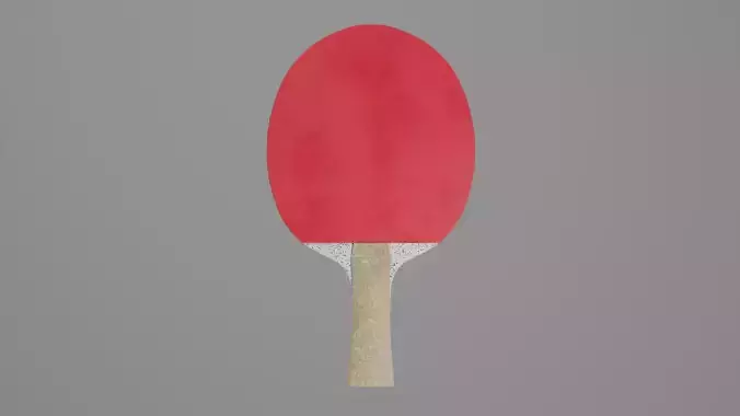 Pingpong Racket 