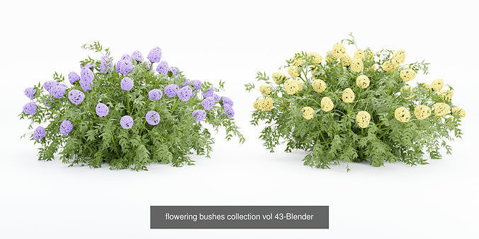24 Bush models collection vol 240-Blender 3D Model Pack 2