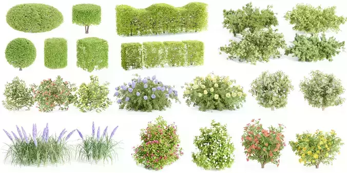 24 Bush models collection vol 240-Blender 