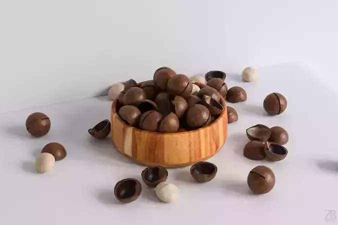 Macadamia 3D model