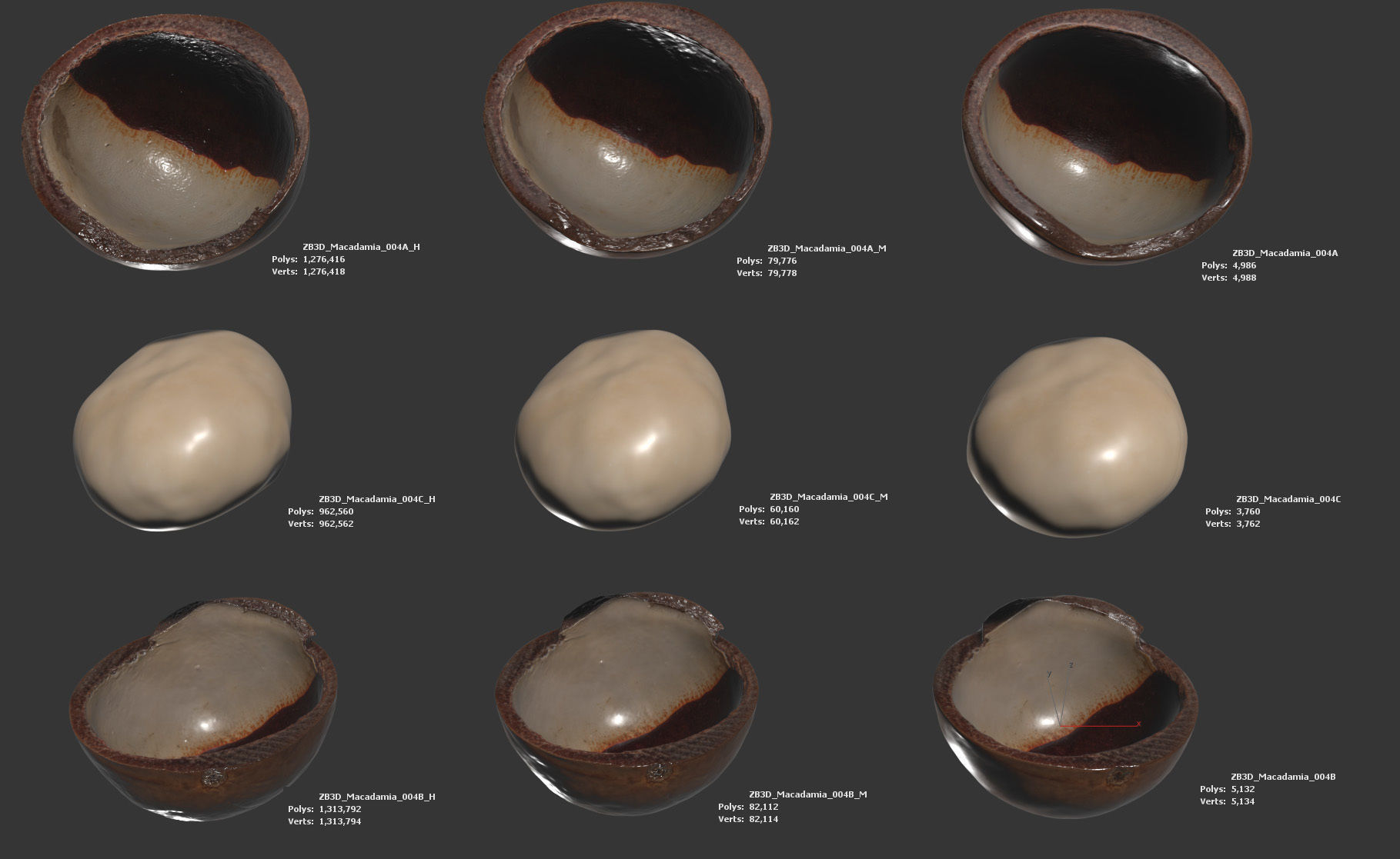 Macadamia 3D model_5