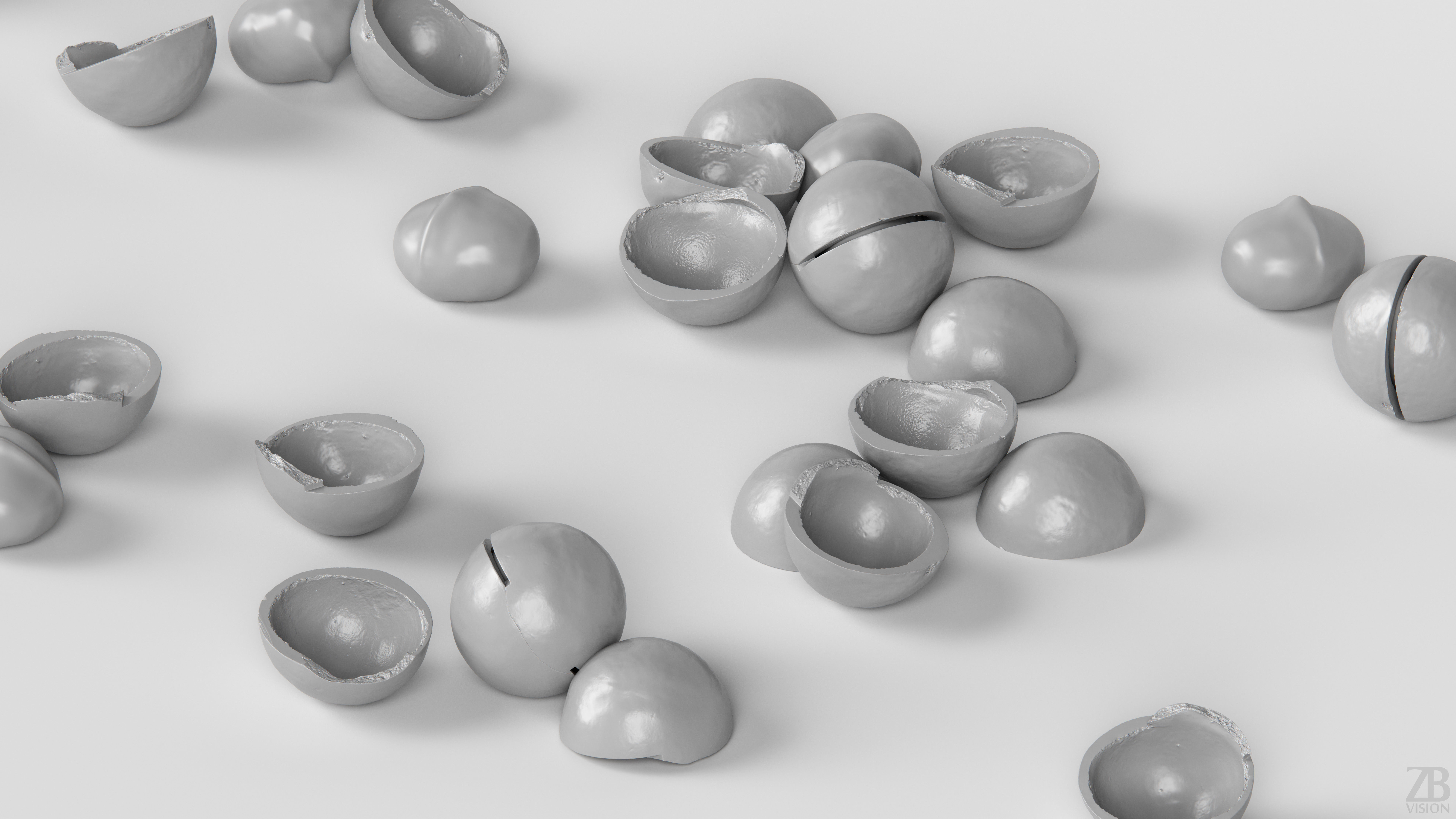Macadamia 3D model_3