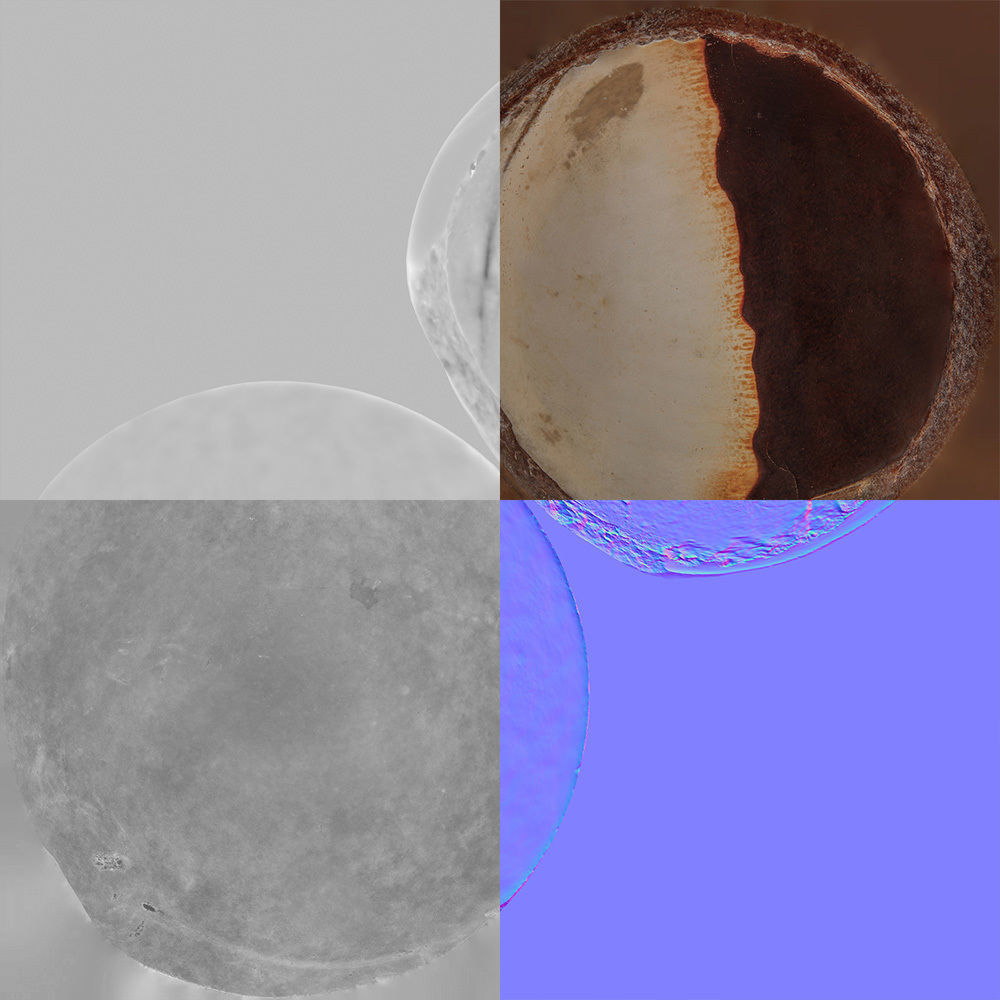 Macadamia 3D model_8