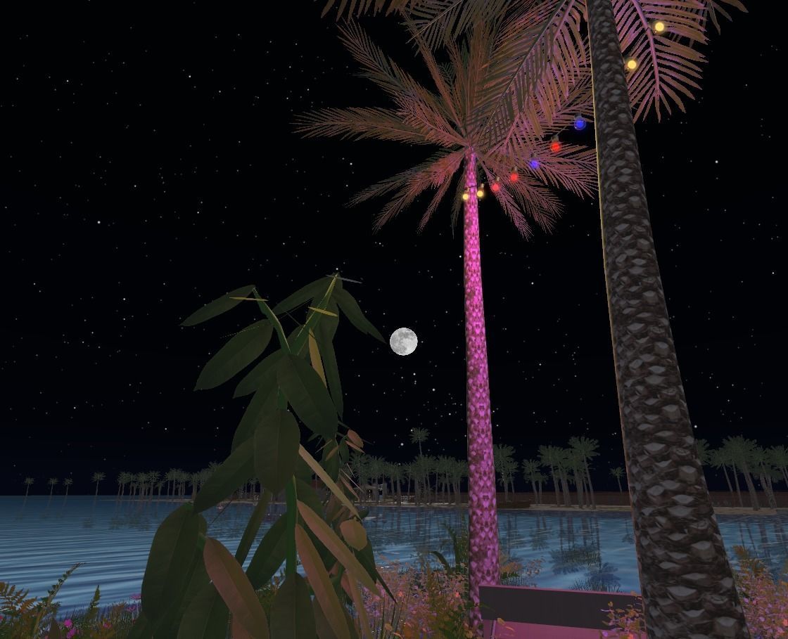 My Island In Tahiti Low-poly 3D model_36