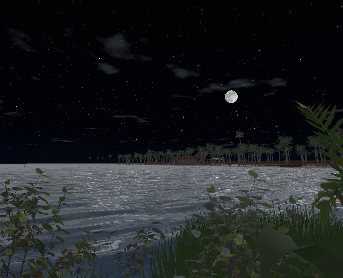 My Island In Tahiti Low-poly 3D model_32