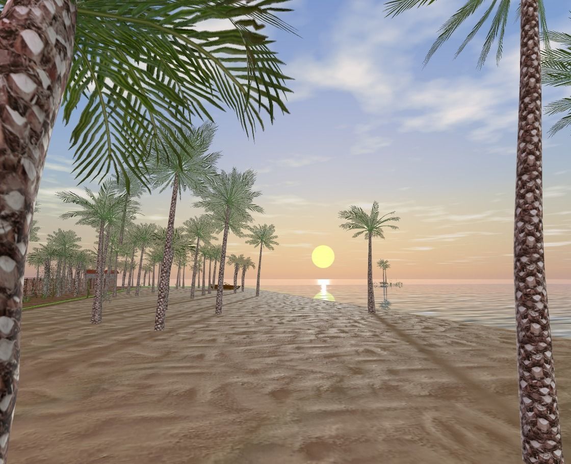 My Island In Tahiti Low-poly 3D model_52